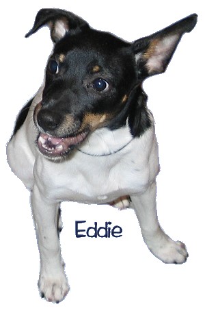 eddie eddie